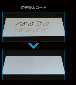 performance_p06_2
