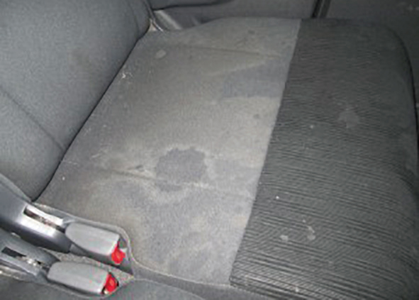 車内クリーニング 消臭 Totalrepair Crew S